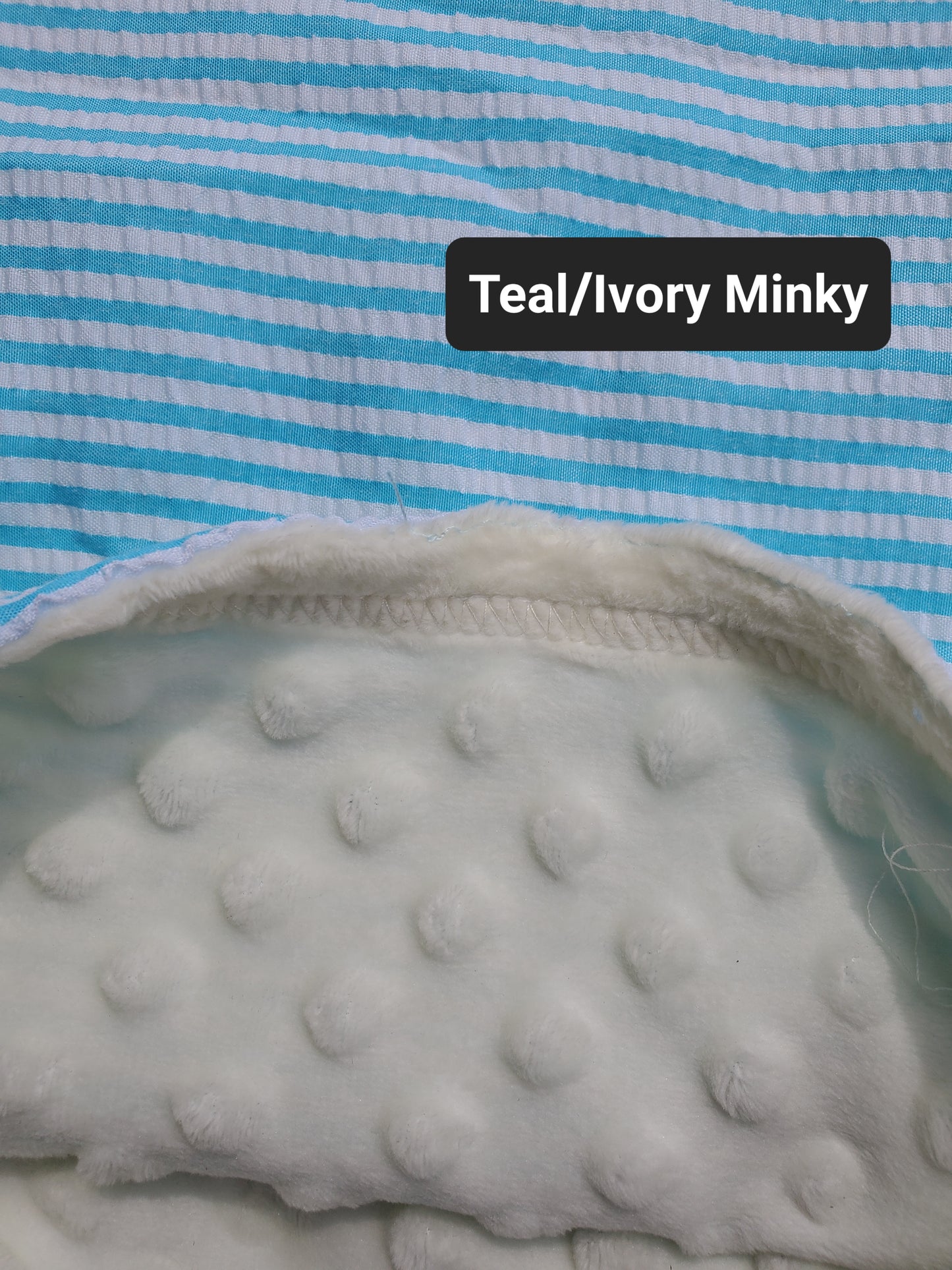 Minky Blanket