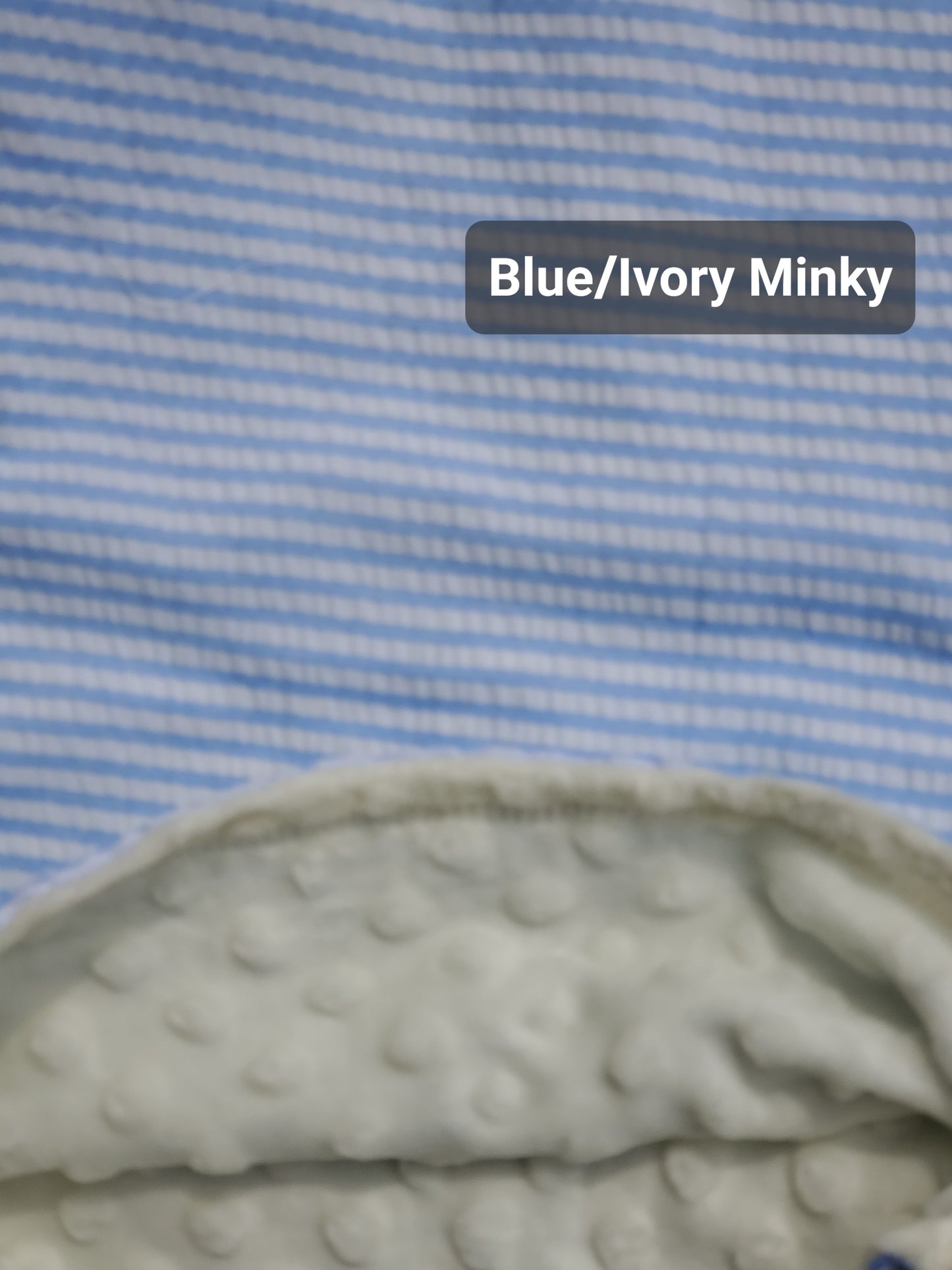 Minky Blanket