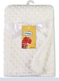 MInky Sherpa Blanket