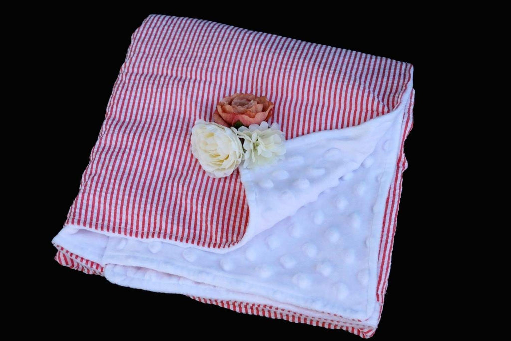 CLEARANCE BLOWOUT SALE Minky Blanket