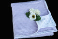 CLEARANCE BLOWOUT SALE Minky Blanket