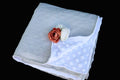 CLEARANCE BLOWOUT SALE Minky Blanket