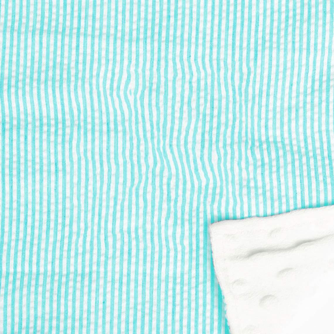 CLEARANCE BLOWOUT SALE Minky Blanket