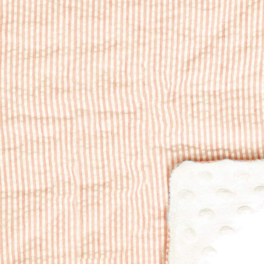 CLEARANCE BLOWOUT SALE Minky Blanket