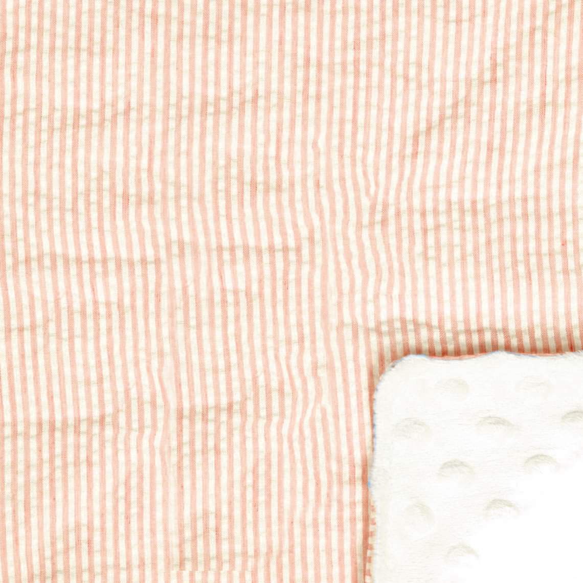CLEARANCE BLOWOUT SALE Minky Blanket