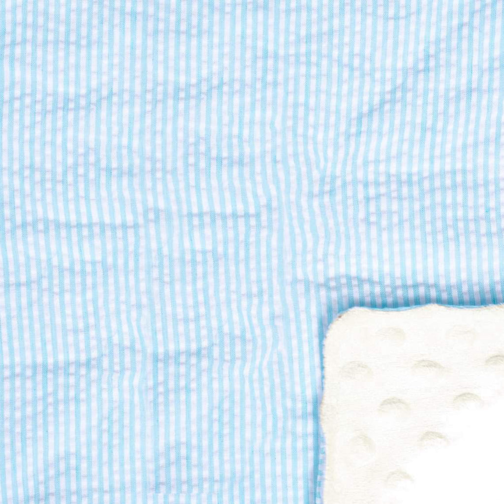 CLEARANCE BLOWOUT SALE Minky Blanket